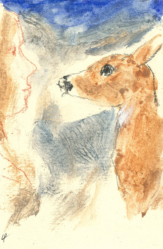 Si racconta le novelle del Boccaccio